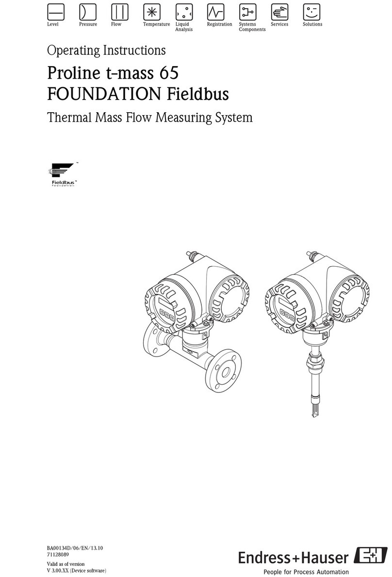 Endress+Hauser Proline t-mass 65 User manual