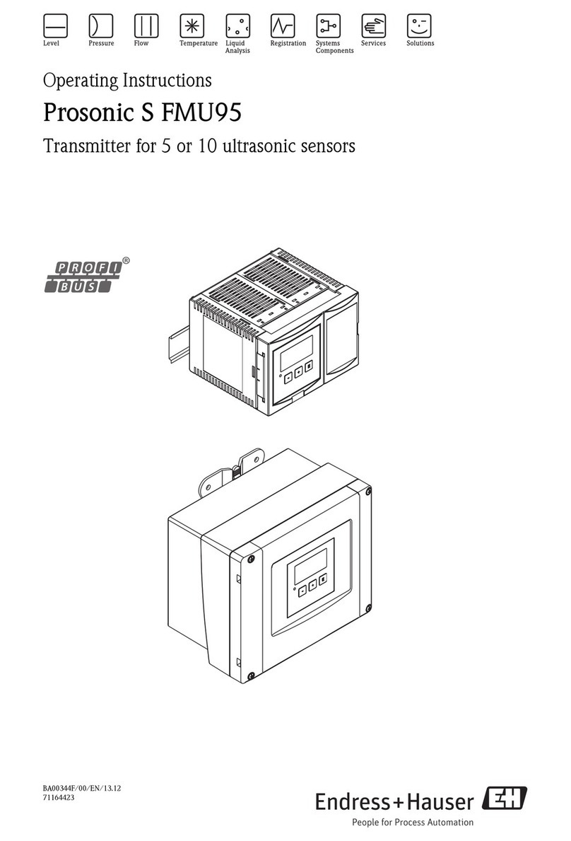 Endress+Hauser Prosonic S FMU95 User manual