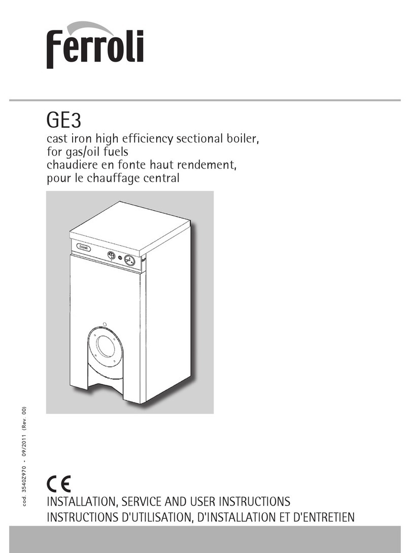 Ferroli GE3 Manual