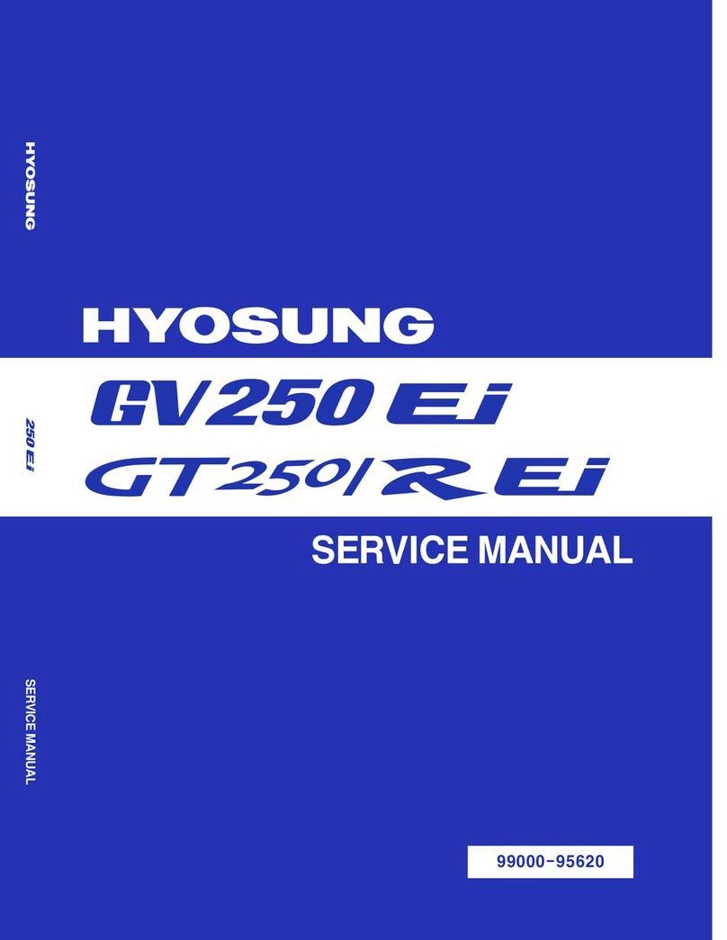 HYOSUNG GV250 Ei User manual HYOSUNG GV250 Ei User manual