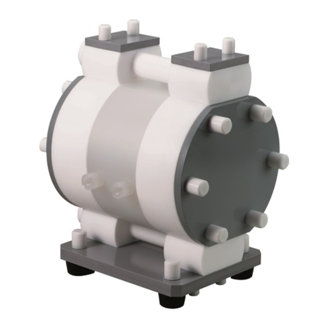 YAMADA DP-20F/P User manual