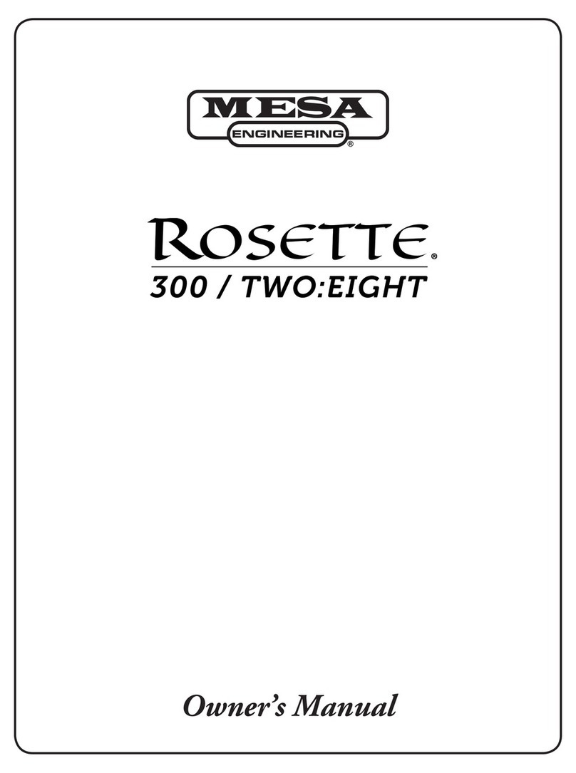 Mesa Rosette 300 Two:Eight owner's manual