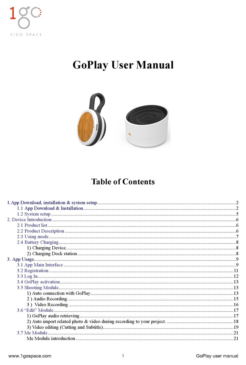 1Go GoPlay user manual