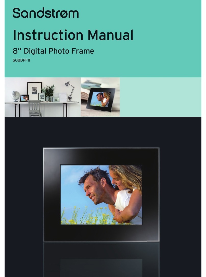 Sandstrom S08DPF11 User manual