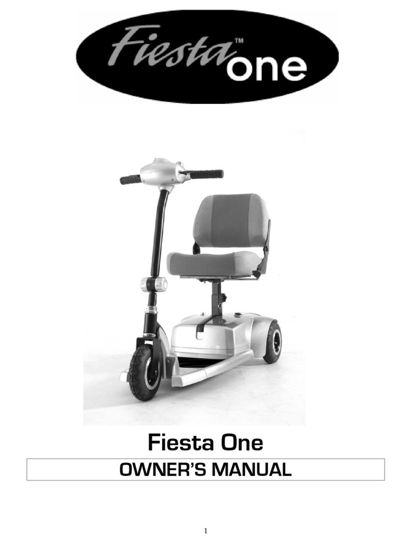 Amigo Fiesta One owner's manual