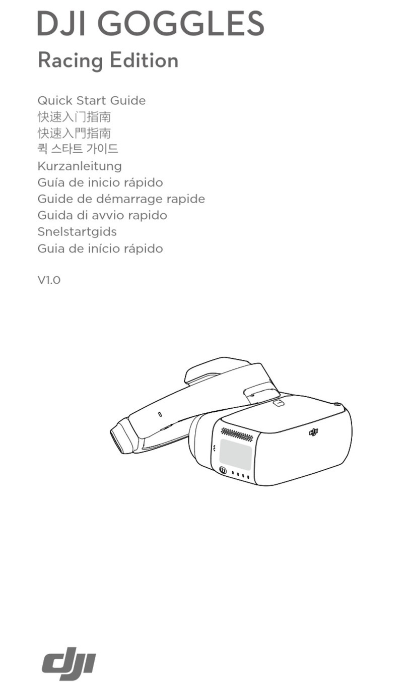 dji Goggles RE quick start guide