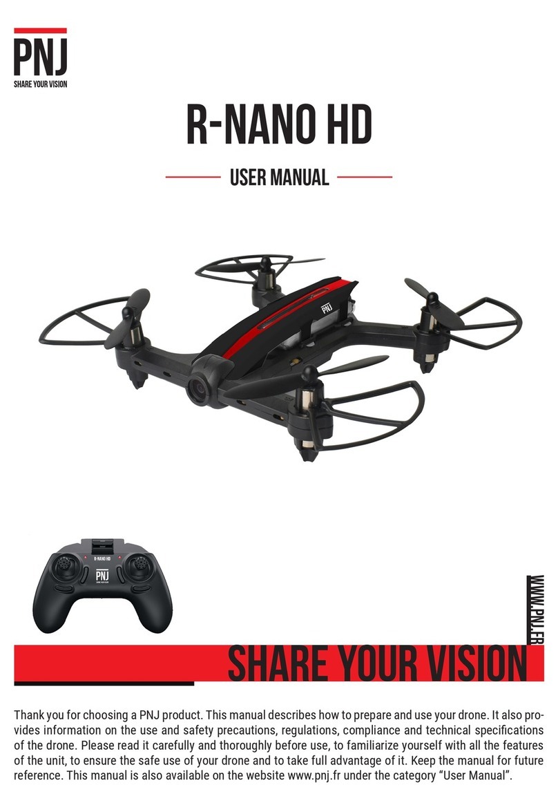 PNJ R-Nano HD user manual