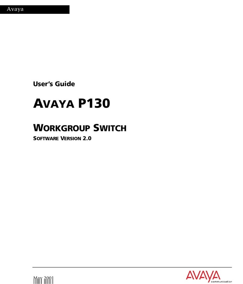 Avaya P133G2 user guide