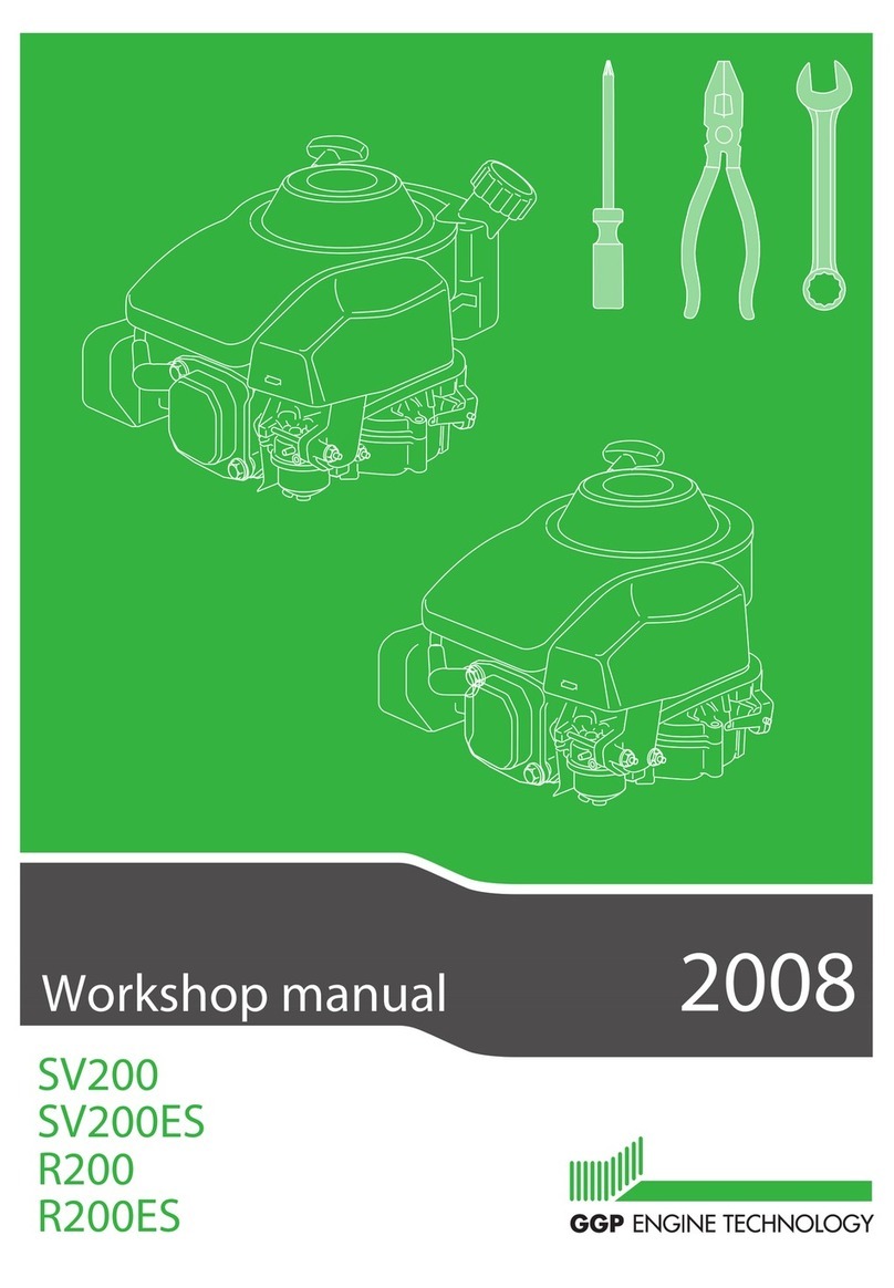 GGP SV200 Instruction manual