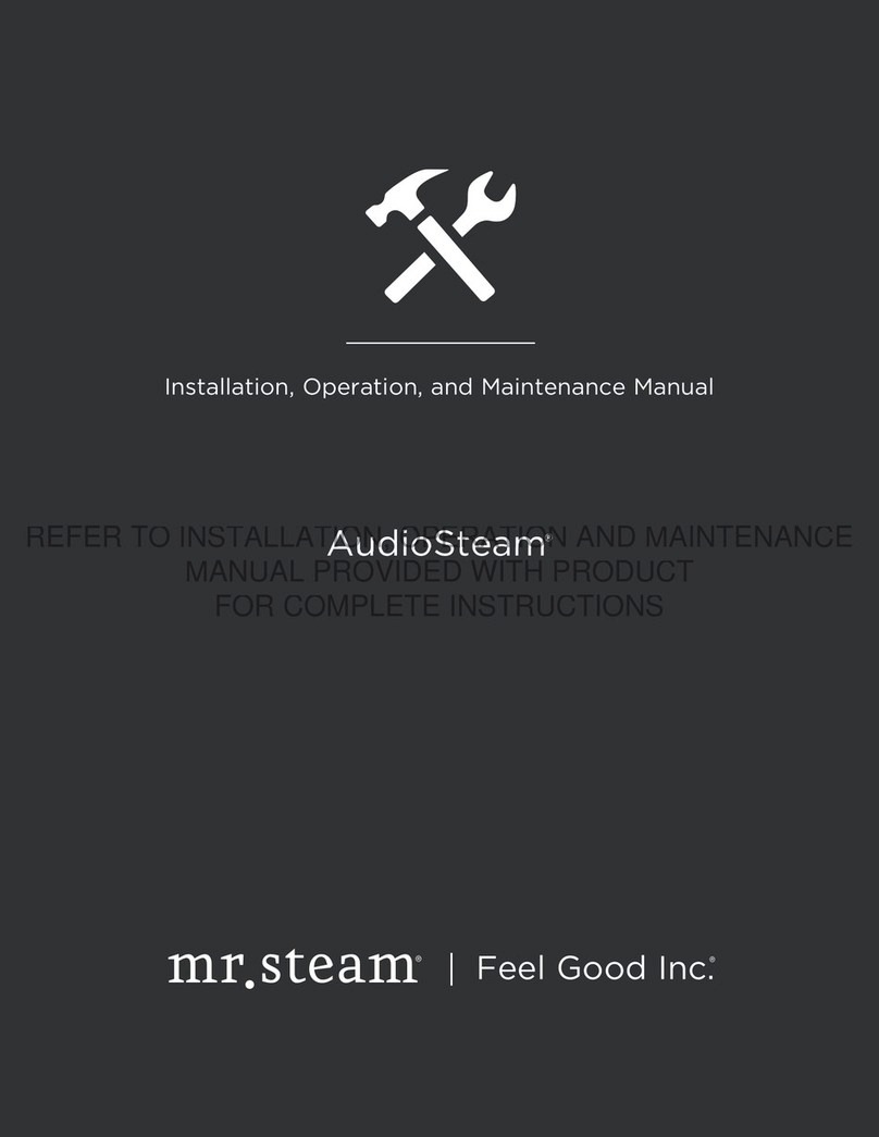 mr. steam AudioSteam Installation, operation and maintenance manual