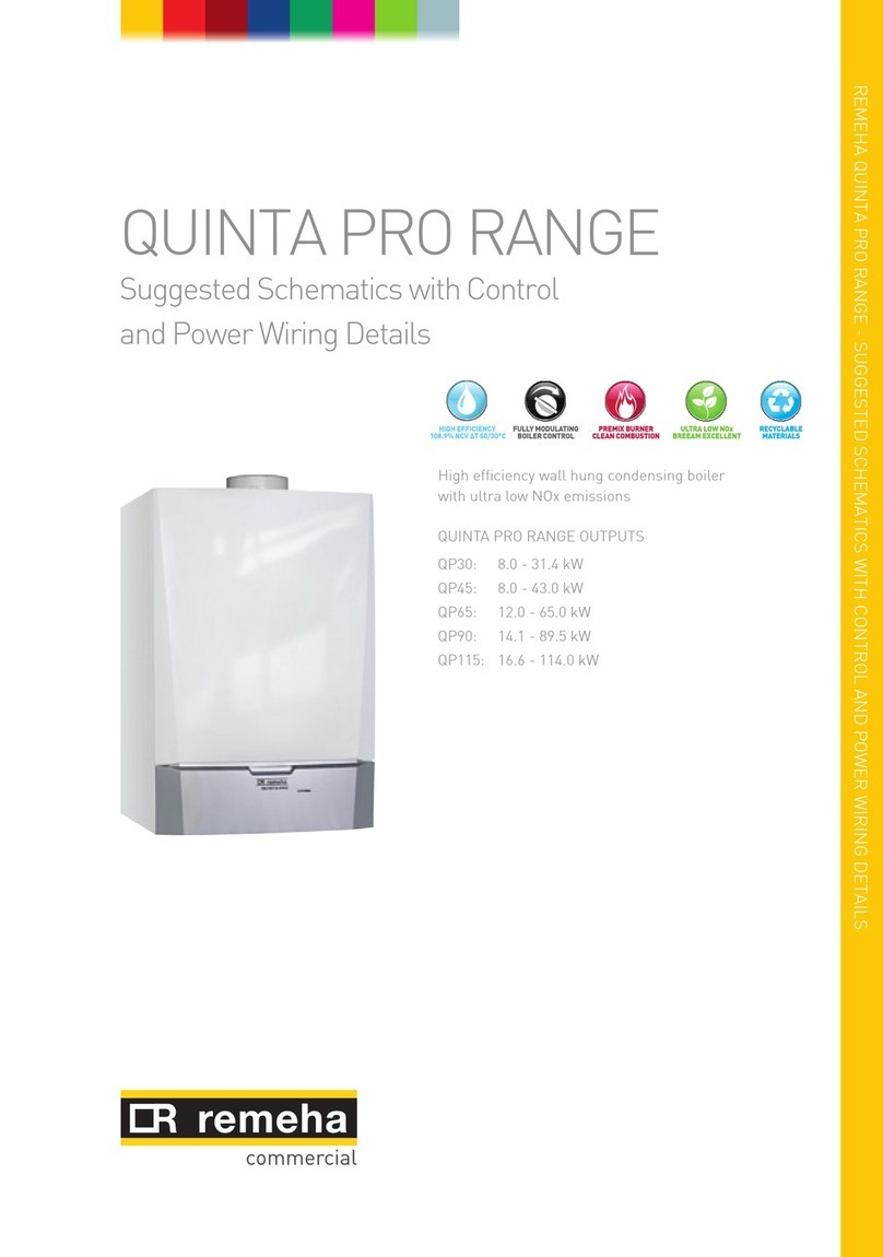 REMEHA Quinta Pro 30 manual