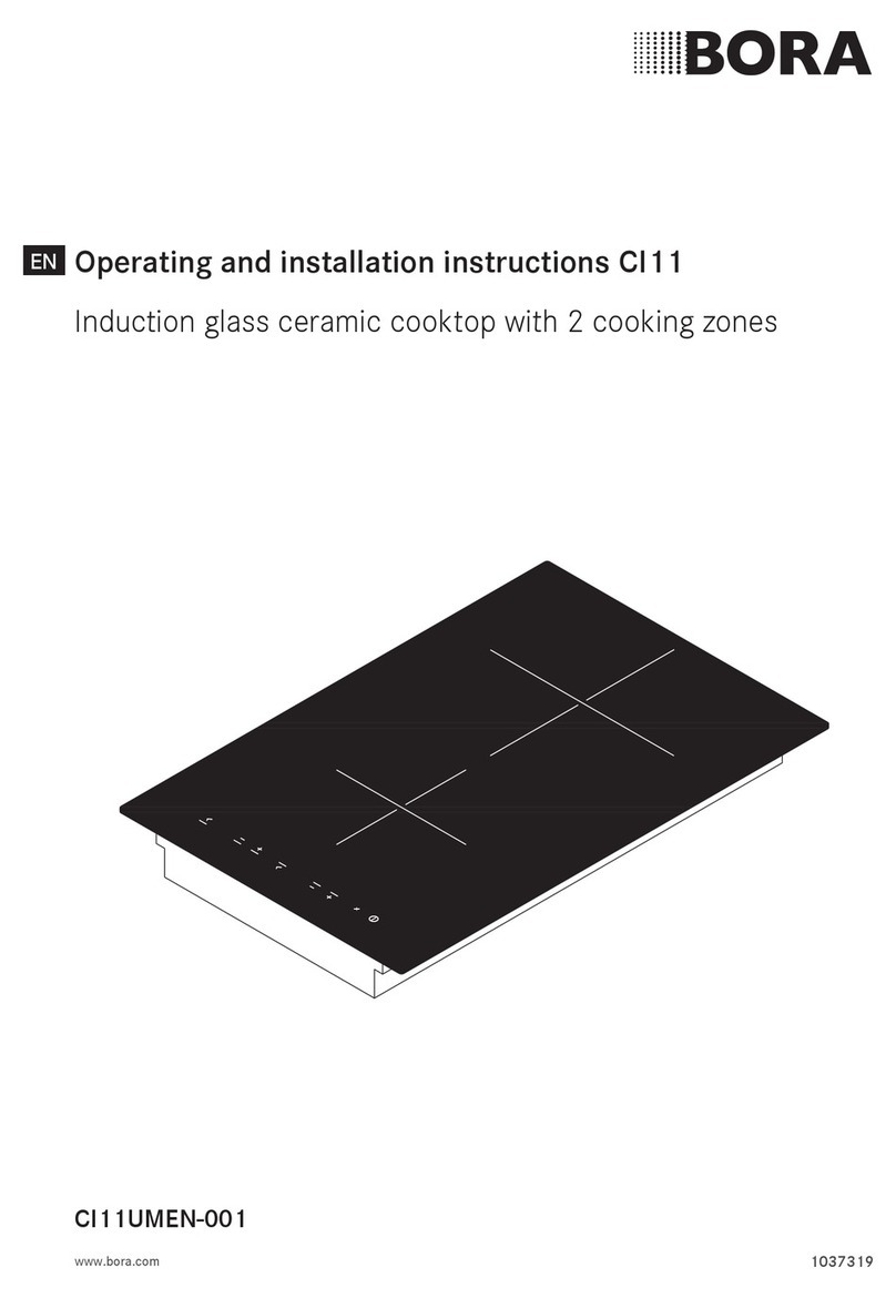 bora CI11 User manual