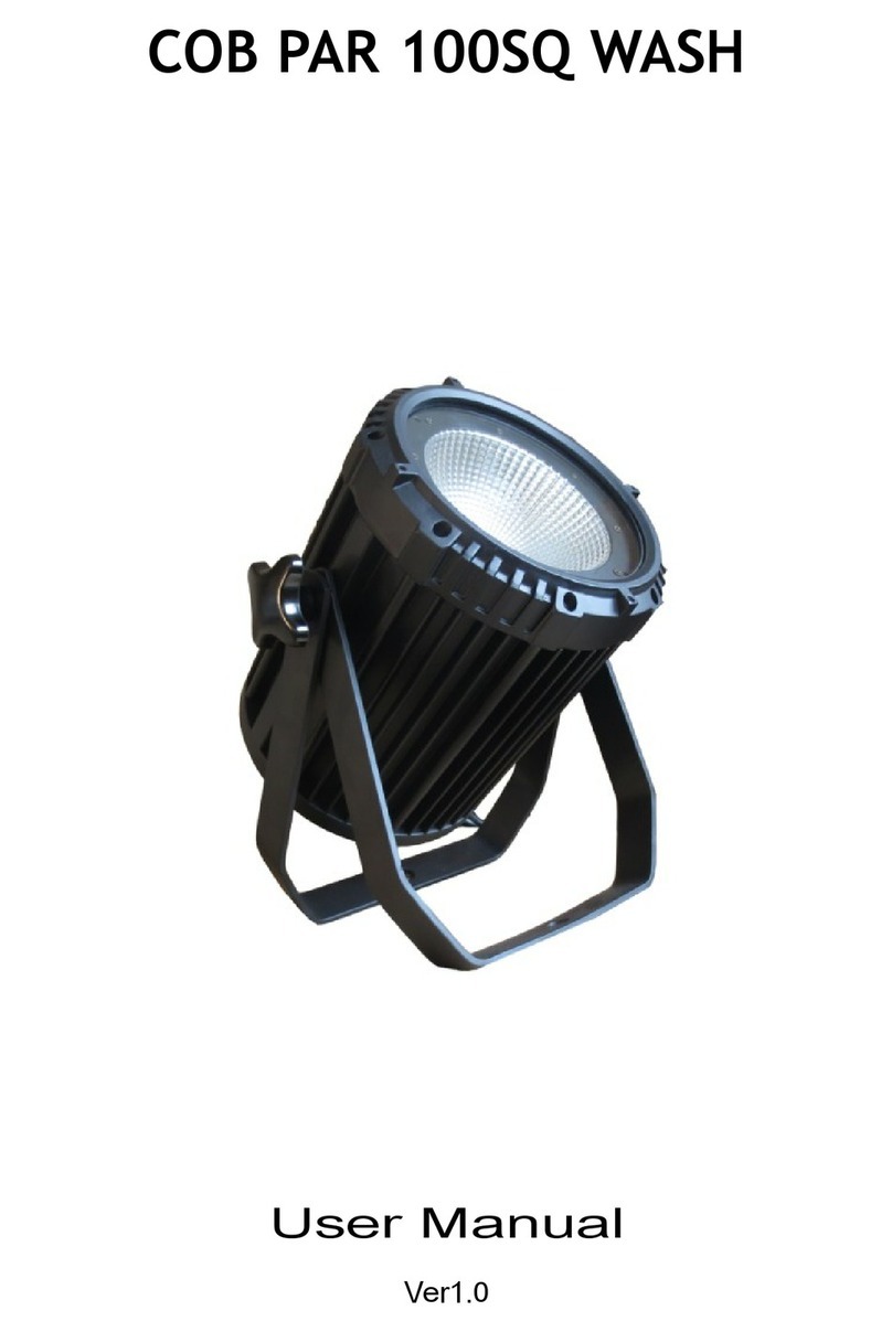 STSLITE COB PAR 100SQ WASH user manual
