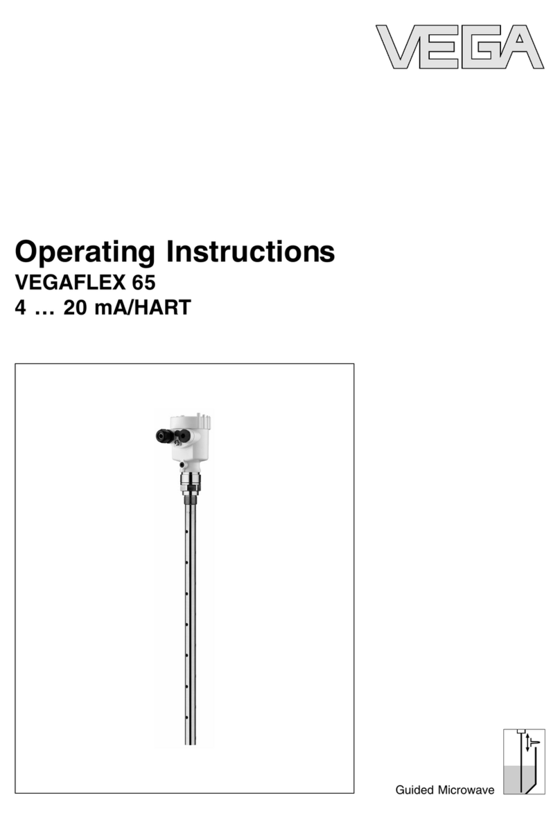 Vega VEGAFLEX 65 operating instructions