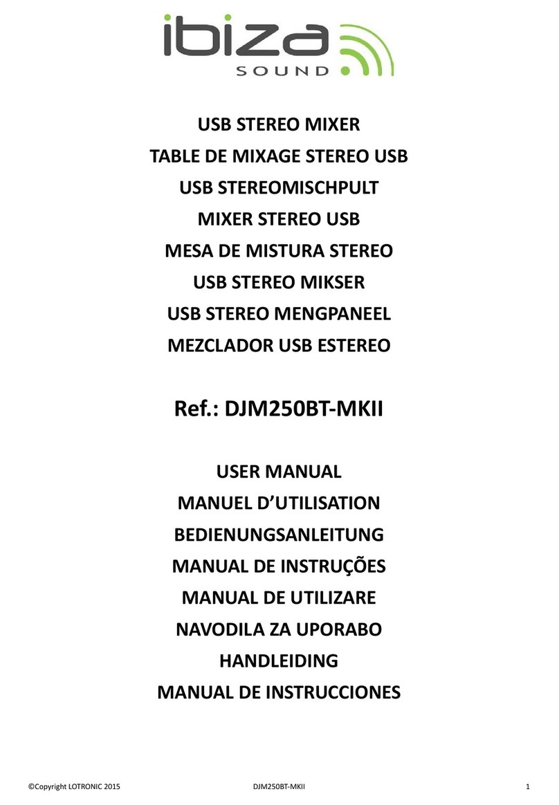 Ibiza sound DJM250BT-MKII user manual