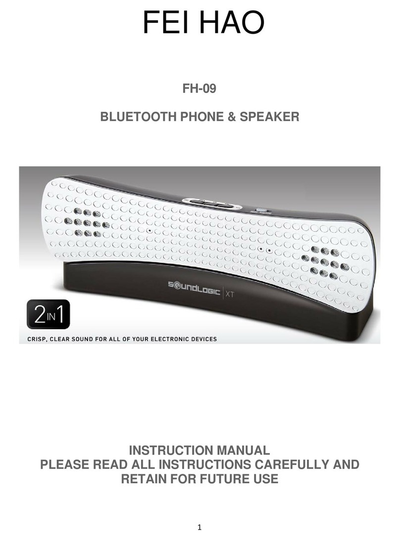 Feihao FH-009 instruction manual