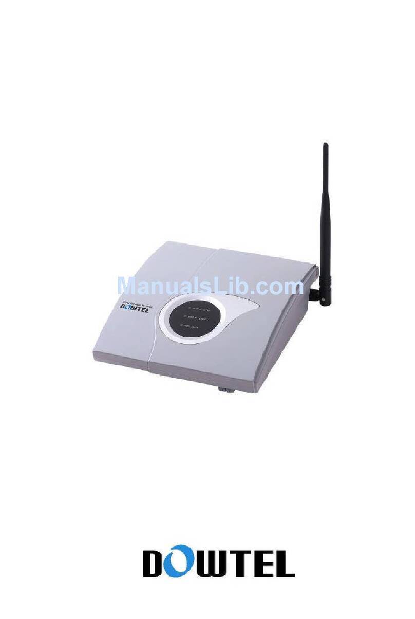 Dowtel WS-2100 User manual