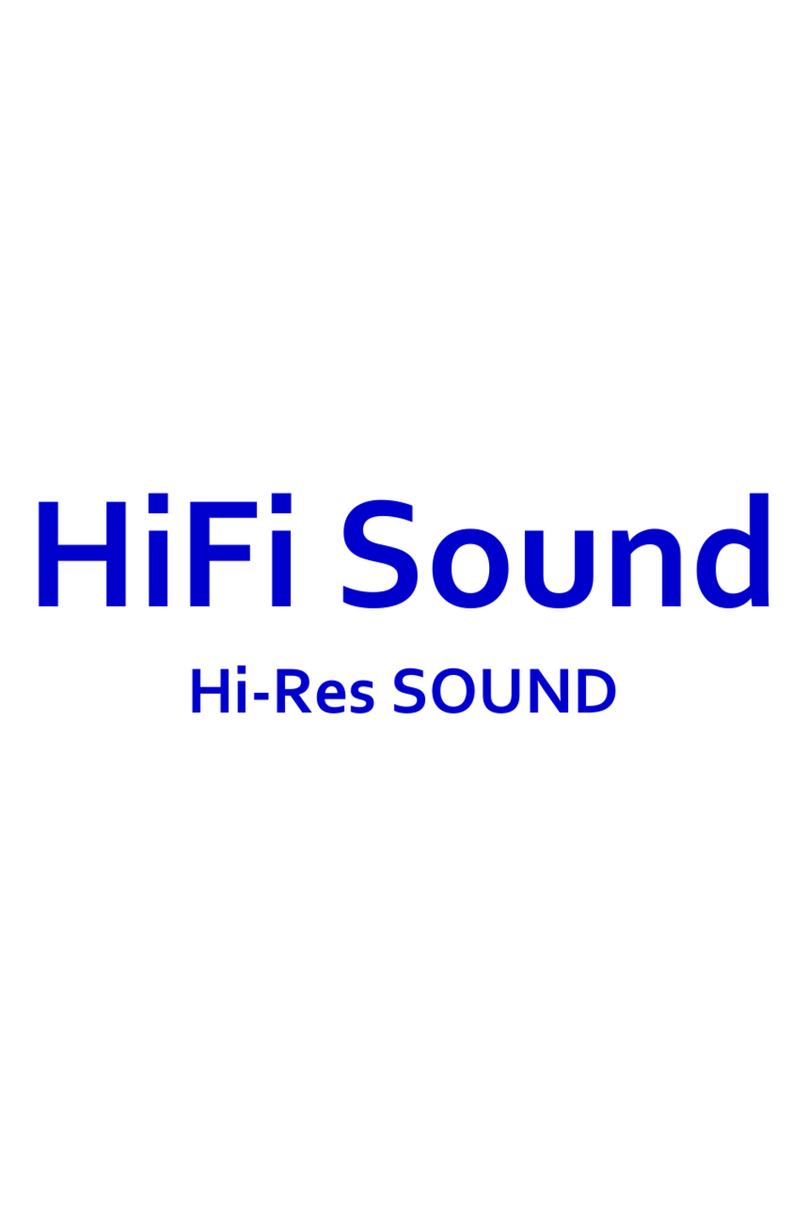 Celsus Sound Hi-Res SOUND User manual