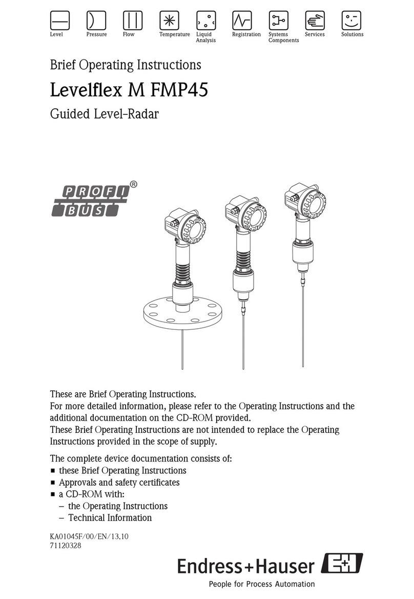 Endress+Hauser Levelflex M FMP45 User manual
