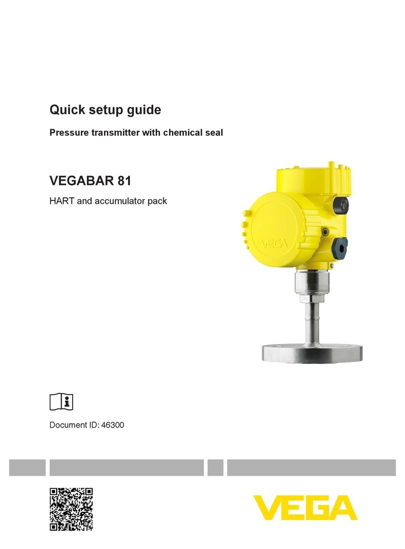 Vega VEGABAR 81 User manual