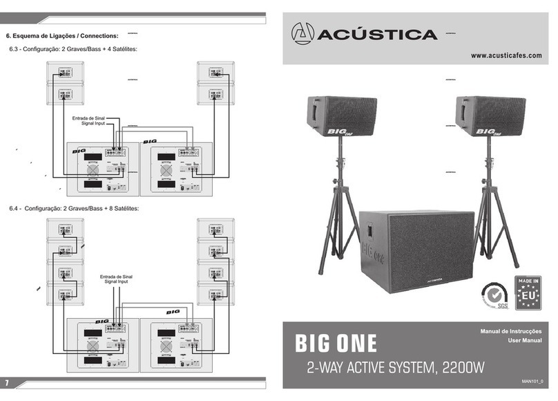 Acustica BIG ONE user manual