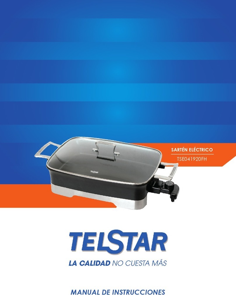 Telstar TSE041920FH User manual