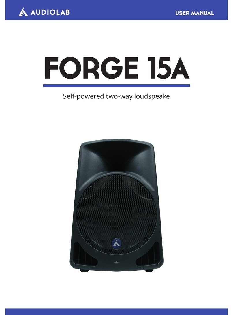Audiolab FORGE 15A user manual