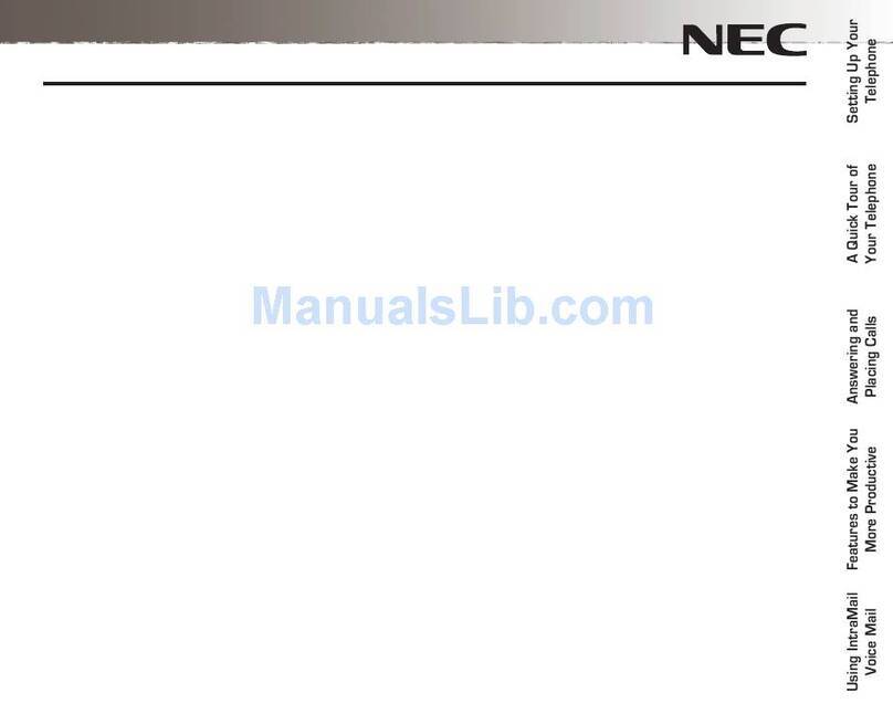 NEC DSX User manual