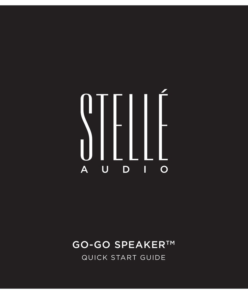 Stelle Go-Go Speaker quick start guide