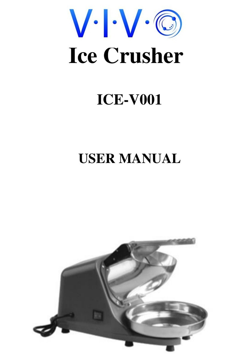 Vivo ICE-V001 user manual