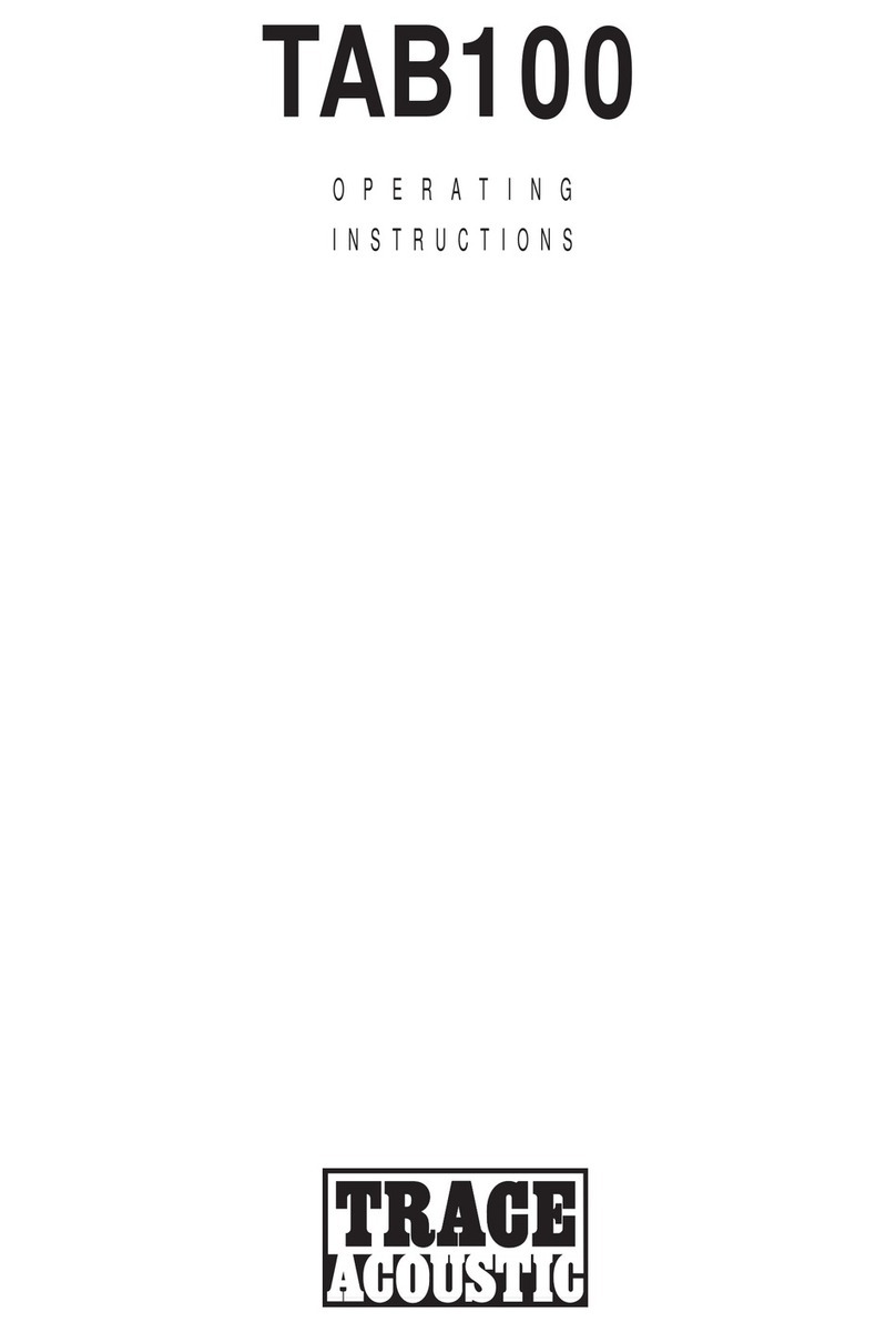 Trace Acoustic TAB100 User manual