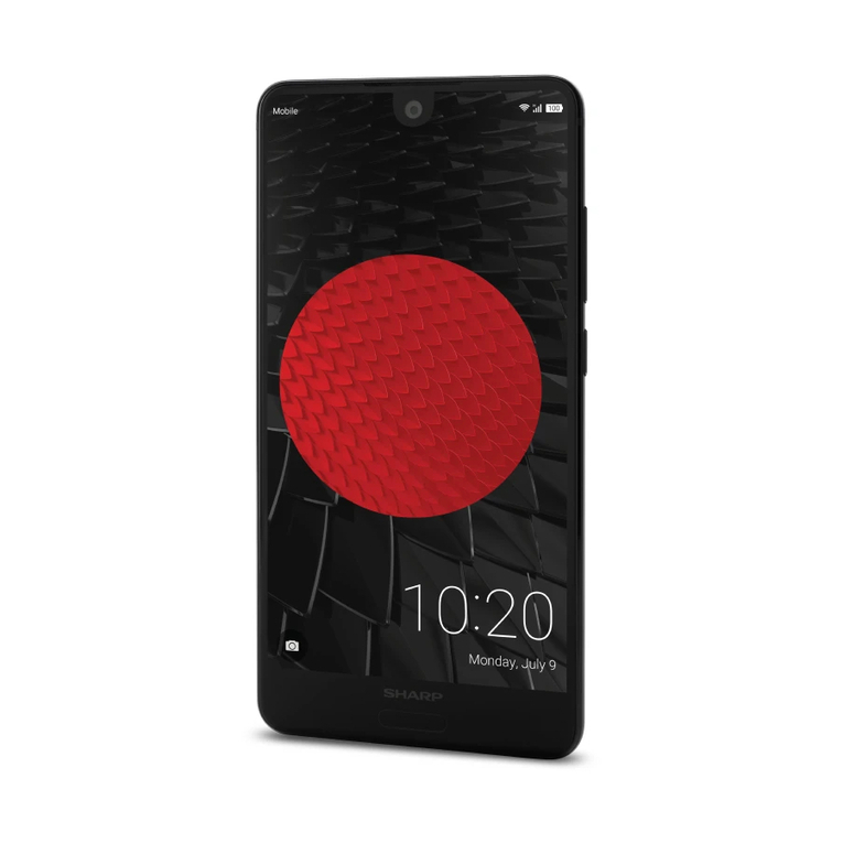 Sharp AQUOS C10 User manual