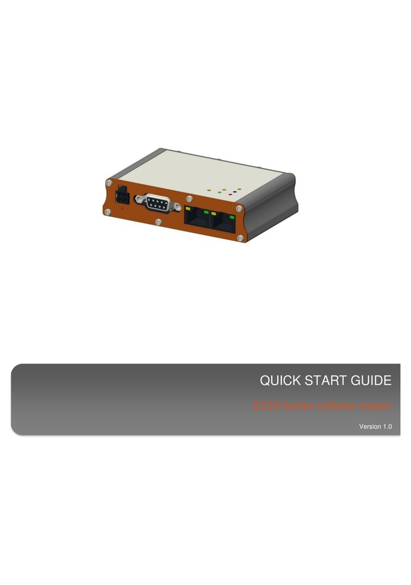 Maestro Wireless Solution E213 User manual