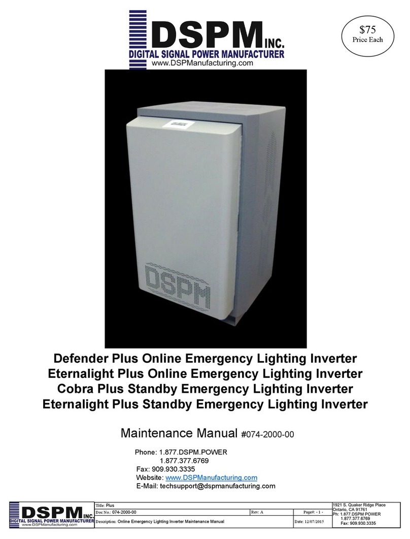 DSPM Defender Plus Online User manual