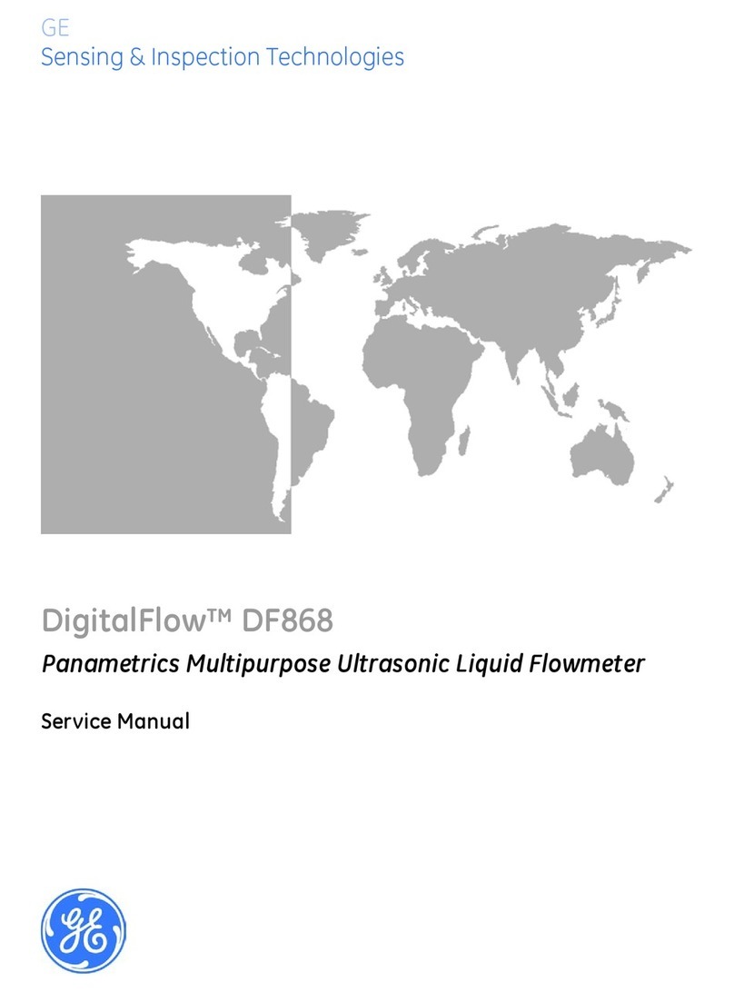 GE DigitalFlow DF968 User manual