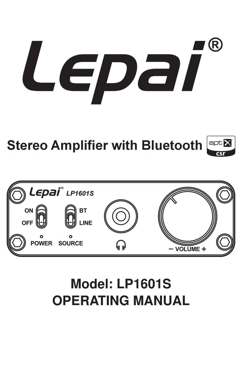 Lepai LP1601S User manual