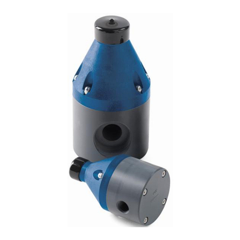 Hayward PBV series Manual