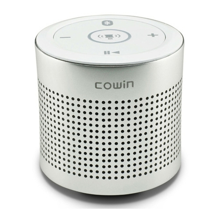 cowin Thunder II user manual