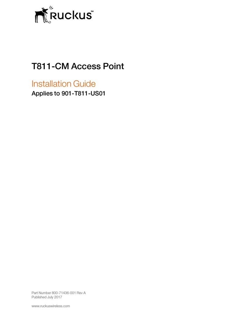 Ruckus Wireless T811-CM installation guide