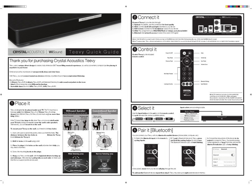 Crystal Acoustics Teevy User manual