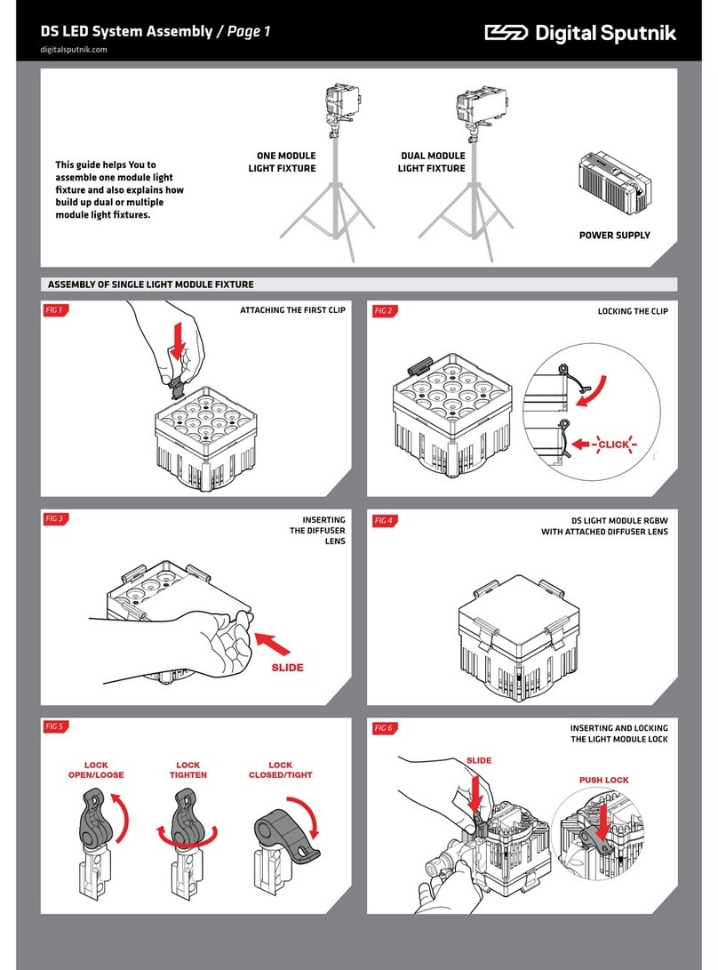 Digital Sputnik DS series User manual