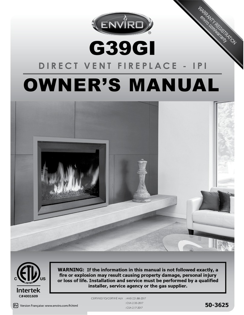 Enviro G39GI owner's manual