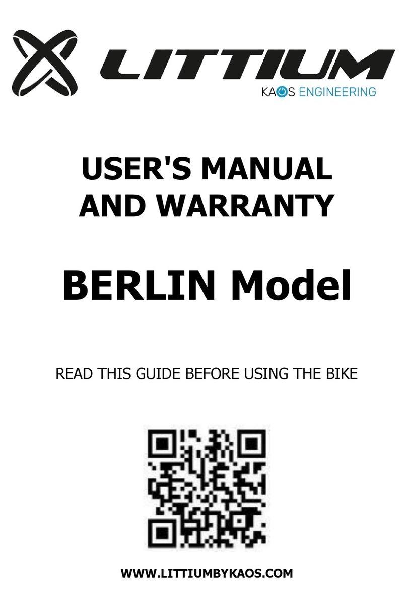 Littium BERLIN User's manual and warranty information