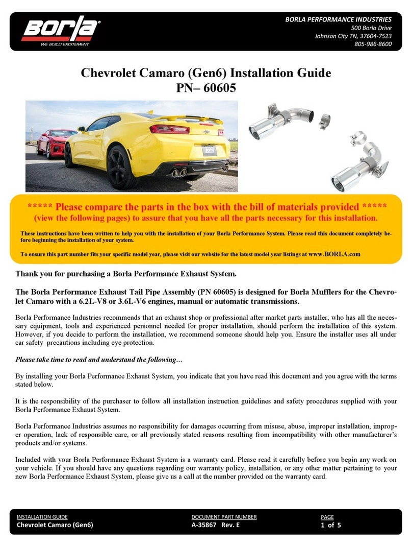 BORLA 60605 installation guide