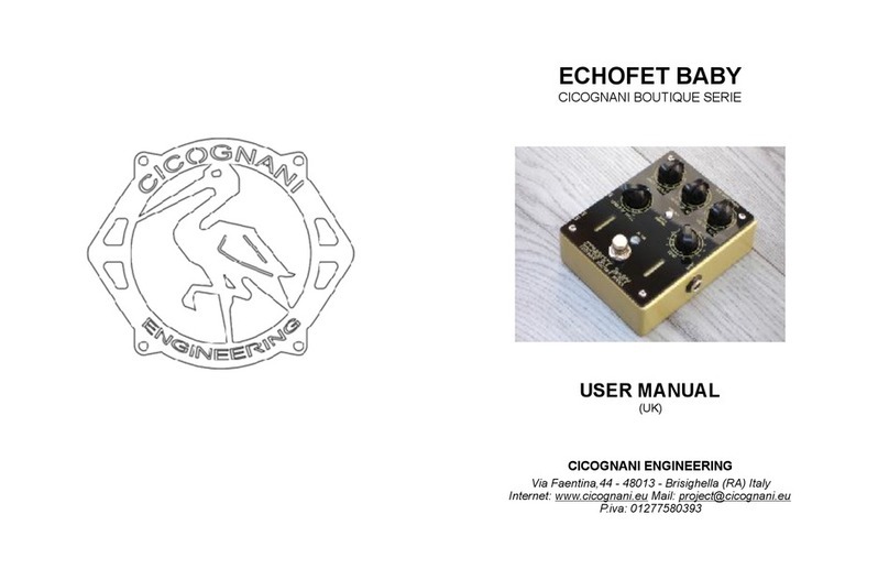 CICOGNANI ENGINEERING ECHOFET BABY user manual