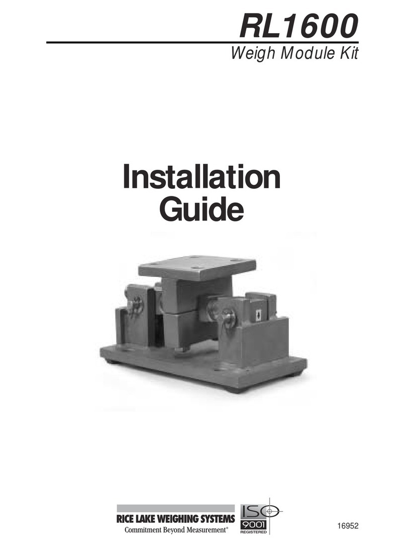 Rice Lake RL1600 installation guide