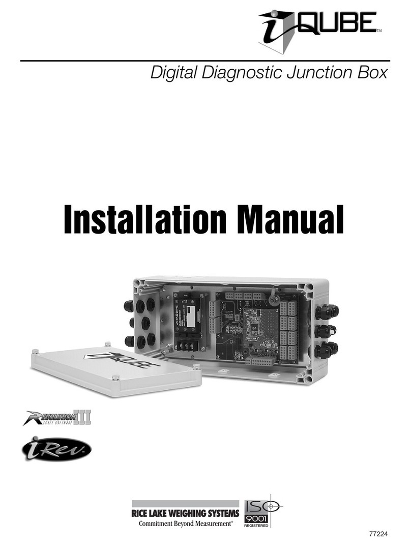 Rice Lake iQUBE installation manual