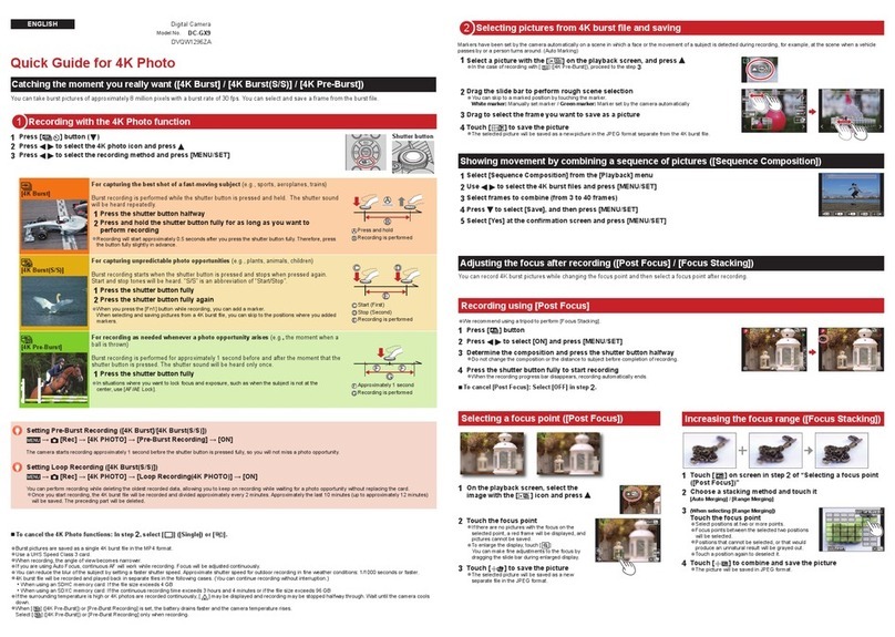 Panasonic Lumix DC-GX9 User manual