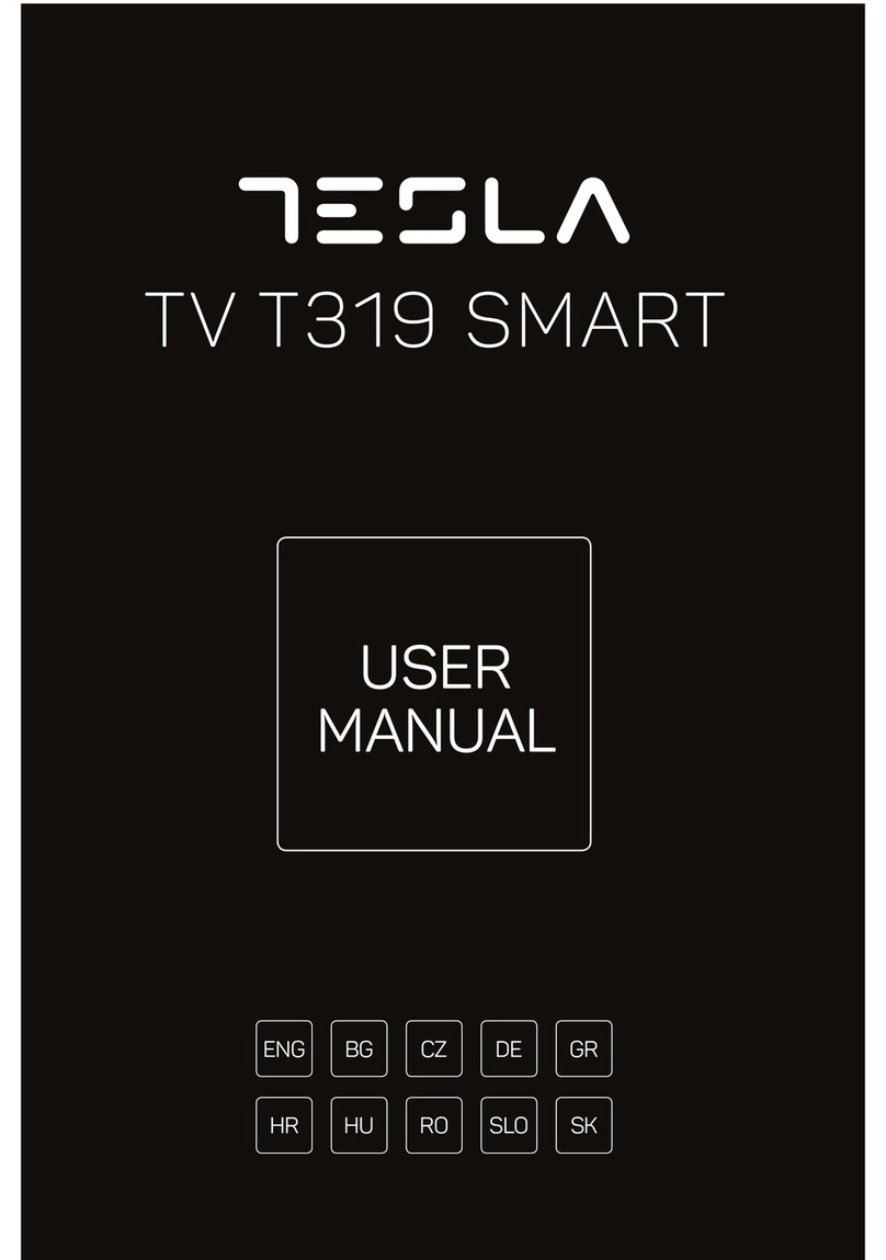 Tesla TV T319 SMART User manual