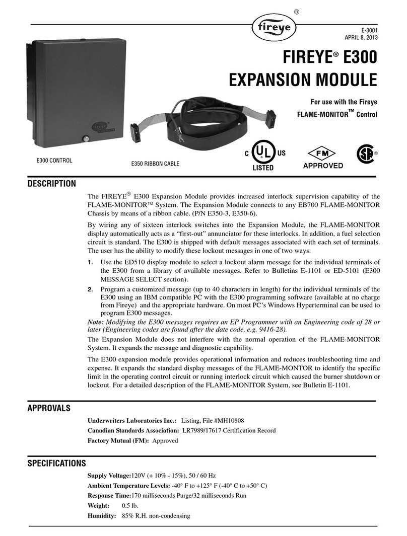Fireye E300 manual
